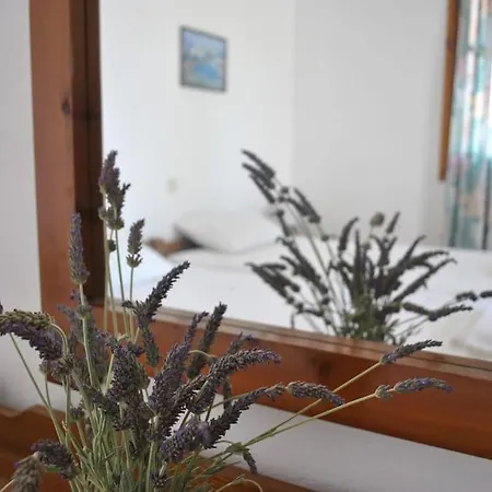 Antigoni Apartments 'Lavender Room' Milatos Exterior photo