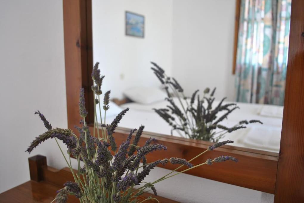 Antigoni 'lavender Room' Apartment Milatos